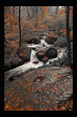 Kennal Vale, black and whit with coulour with stone wheel